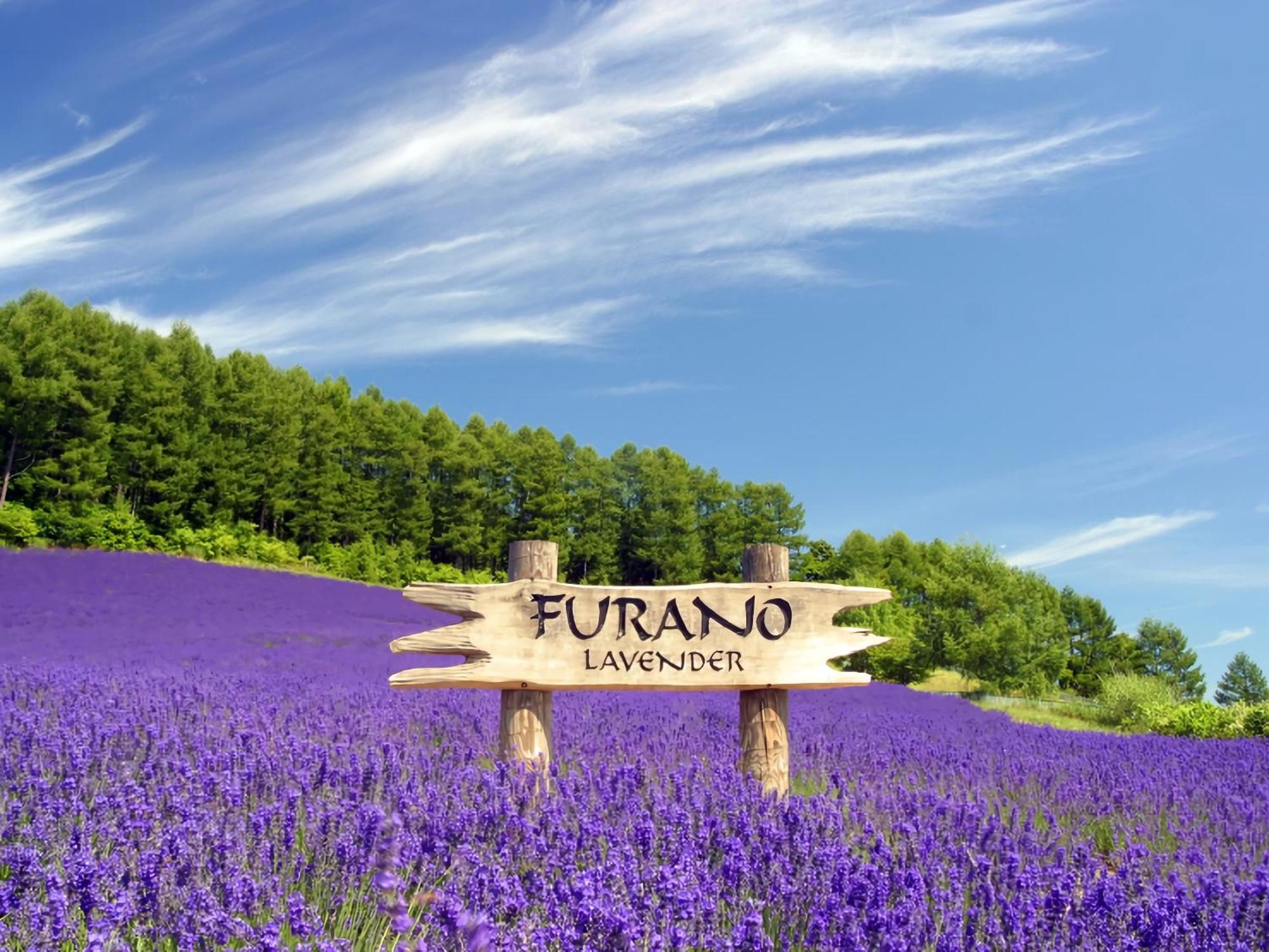 โรงแรมเนเจอร์วาลด์ ฟูราโนะ ฟุระโนะ ภายนอก รูปภาพ